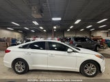 Hyundai Sonata Gl 5NPE24AF4GH272218 снимка