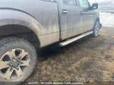 Ford F150 Xlt Supercrew 1FTFW1EF8EKF83392 снимка