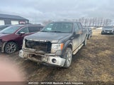Ford F150 Xlt Supercrew 1FTFW1EF8EKF83392 снимка