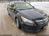 Honda Accord Ex-L 1HGCP2F86BA800088 снимка