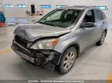 Honda Cr-V Ex 5J6RE48598L805466 снимка