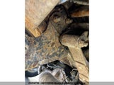 Ford Ranger Xlt Supercab 1FTZR44E17PA66987 снимка