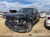 Ford F150 Xlt Supercrew 1FTEW1EP5LFA87606 снимка