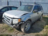 Ford Escape Xlt V6 1FMCU9DG5BKC34294 fotografie