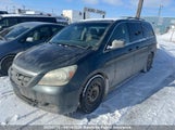 Honda Odyssey Ex 5FNRL38495B510606 снимка