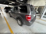 Ford Escape Xlt V6 1FMCU0DG5BKA23253 снимка