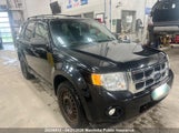 Ford Escape Xlt 1FMCU03719KC37572 снимка