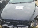 Toyota Rav4 JTMBF33V495000535 снимка