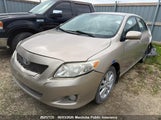 Toyota Corolla Le 2T1BU4EE9AC411039 снимка