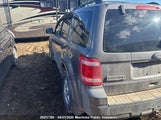 Ford Escape Xlt V6 1FMCU9DG3AKC57149 снимка