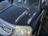 Honda Pilot Ex-L 5FNYF48529B501124 снимка
