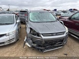 Ford Escape Se 1FMCU0GX4EUB18102 снимка