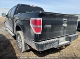 Ford F150 Xlt Supercrew 1FTFW1EF6EFB89785 снимка