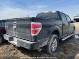 Ford F150 Xlt Supercrew 1FTFW1EF6EFB89785 снимка