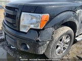 Ford F150 Xlt Supercrew 1FTFW1EF6EFB89785 снимка