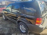 Ford Escape Xlt V6 1FMYU93147KA00495 снимка