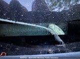 Ford Focus Se 1FAHP35N79W181859 снимка