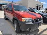 Ford Escape Xlt V6 1FMYU93116KA31444 снимка