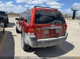 Ford Escape Xlt V6 1FMYU93116KA31444 снимка