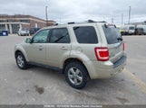 Ford Escape Limited V6 1FMCU9EG0AKB87298 снимка