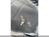 Dodge Grand Caravan Sxt 2C4RDGBG5DR759737 снимка