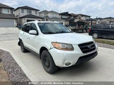 Hyundai Santa Fe Gls 5NMSH73E49H256995 снимка