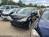 Honda Cr-V Lx 5J6RE4H36AL816767 снимка