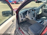 Ford Escape Xlt 1FMCU03719KB68611 снимка