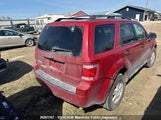 Ford Escape Xlt 1FMCU03719KB68611 снимка
