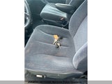 Miniaturka zdjęcia 11