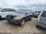 Toyota Rav4 2T3BF4DV9CW251488 photo