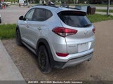 Miniaturka zdjęcia 3