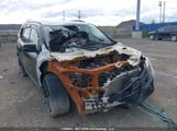 Honda Pilot Elite 5FNYF6H08MB506210 снимка