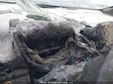 Chevrolet Volt 1G1RA6S52HU105765 снимка