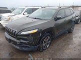Jeep Cherokee 1C4PJMCB1GW250029 fotografie