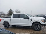 Ford F-150 Xlt 1FTEW1EP2NKD59507 снимка