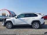 Toyota Rav4 Le 2T3B1RFV8MC181512 снимка
