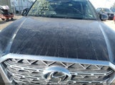 HYUNDAI PALISADE KM8R5DHE9LU****** снимка