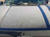 FORD F150 SUPERCREW 1FTEW1EG2GK****** снимка