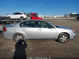 Chevrolet Malibu 1G1ZS52F25F288990 снимка