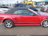 Ford Mustang 1FAFP44442F204705 снимка