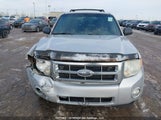 Ford Escape Xlt 1FMCU93158KB64513 снимка