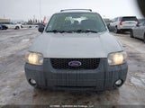 Ford Escape Xlt 1FMYU93167KA00952 снимка