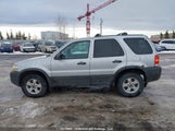 Ford Escape Xlt 1FMYU93167KA00952 снимка