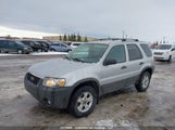 Ford Escape Xlt 1FMYU93167KA00952 снимка