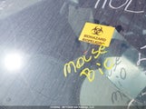 Chevrolet Malibu 1G1ZG57B28F240594 снимка