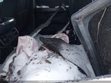 Ford F-150 Xlt 1FTFW3L59RFA78532 снимка