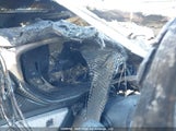 LAMBORGHINI URUS ZPBCA1ZL4KL****** снимка