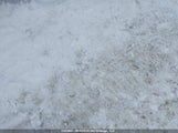 Kia Forte Lx KNAFK5A88J5774293 снимка