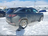Hyundai Tucson KM8JBCAE9PU240379 снимка